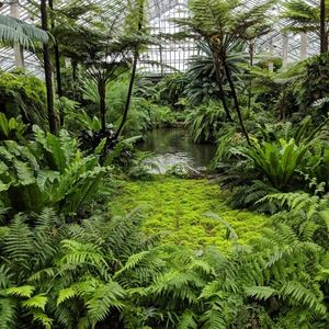 Meet your Posher, Ferris